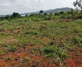 Residential Land for Sale in Accra